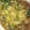 Dan's cooksnap of when they made Plantain porridge.