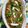 Mk Mahwish's cooksnap of when they made Green chicken karahi.