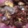 Cooksnap dari Dian Handianty untuk resep Choconut cornflakes