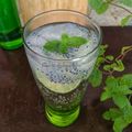 Cooksnap dari Bunda Melvy Sofia untuk resep 103.Es Mojito Cocok untuk jualan