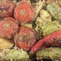 Cooksnap από speedy στη συνταγή Γεμιστά ντομάτες & πιπεριές ορφανά στο φούρνο Αντώνης