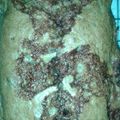 sbooten4's cooksnap of when they made 3 ingredient Banana bread.