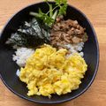 21st century foxy's cooksnap of when they made Japanese 3-color Bento (Sanshoku Bento).