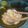 El cooksnap de Mirtha Barini cuando hizo Ensalada repollo, zanahoria y manzana diet!.