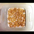 Lenzi 's cooksnap of when they made Fried Icecream!.