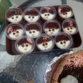 Cooksnap dari Wt Fatma untuk resep Silky Puding Coklat (puding kribo)