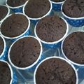 Cooksnap dari Wulan Suci untuk resep Cupcake (Buttercake dasar 2 telur ncc)