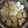 Cooksnap dari Vifya_kitchen untuk resep Somai Ikan Tenggiri