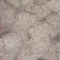 Cooksnap dari Yunita Nyun untuk resep Bakso Sapi (blender)
