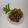Cooksnap dari yanti sutanto untuk resep Tumis Sosis Bakso