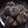 El cooksnap de María Fernanda Bacchia cuando hizo Masitas de manteca🍪.