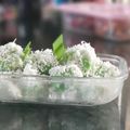 Cooksnap dari Mamiya Kitchen untuk resep Kue klepon