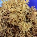 Cooksnap dari Putri indri untuk resep Kremesan ayam kriuk