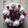 victoria kariuki's cooksnap of when they made Black Forest Cake.