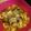 Dol's cooksnap of when they made Minestrone Soup - Italian Style.
