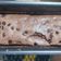 Cooksnap dari yunita eridhani untuk resep Sponge cake chocolate enak dan lembut