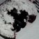 Cooksnap dari miss cookies untuk resep Molten lava cake