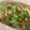 Hsieh Apple 的 豆干炒芹菜 cooksnap