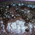 Cooksnap dari Bellesa untuk resep Brownies Kukus (eggless)