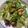 Cooksnap dari it's a wolf thing! untuk resep Chicken Salad