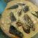 Cooksnap dari Iin Aminah untuk resep Ikan lajang kuah santan pedas gurih