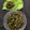 Hemaxi Patel's cooksnap of when they made મીઠો પાન મુખવાસ (Sweet Paan Mukhwas Recipe In Gujarati).
