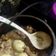 Cooksnap dari Haslinda Zainon untuk resep Ayam Rica Rica pedas manis