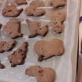 El cooksnap de Ira cuando hizo Cookies de chocolate con panela, fáciles y rápidas.