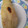 El cooksnap de Dilma More 🇨🇴 cuando hizo Envueltos de Mazorca.