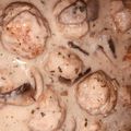 majanopi Cooksnap-ja, amikor elkészítette a(z) Bazsalikomos húsgolyó gombamártással receptet.