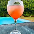 Cooksnap de Not by Bimby (Natacha Correia) quando cozinhou Gin fizz com toranja #gin #toranja.