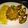 Disha D'Souza's cooksnap of when they made চিকেন কিমা খিচুড়ি (chicken keema khichuri recipe in Bengali).