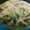 Cooksnap dari Daning Efendy Ahmad untuk resep Brocoli telor kukus mpasi 1 th+