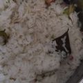 Cooksnap dari Nanda Pranadita untuk resep Nasi Liwet Ikan Peda/Ikan Asin Ricecooker