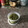 El cooksnap de annabella cuando hizo Pesto.