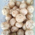 Cooksnap dari Ikrima_Lily untuk resep Cimol Gampil Bener