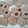 Cooksnap của Joyce Ch khi họ làm theo món Vào bếp cùng con: Bánh quy bơ chocolate chip giòn, xốp, béo, ngọt vừa