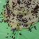 Cooksnap dari Tami Almana untuk resep Pancake teflon simple