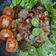 Cooksnap dari Anam Novia untuk resep Gurame cobek