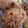 El cooksnap de Sole cuando hizo Galletitas de avena.