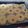 El cooksnap de mnm6246 cuando hizo Galletitas de yema de huevo.