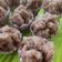 Cooksnap dari Suherni Eeng untuk resep Bolu kukus pisang mekar sempurna