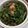 Cooksnap dari neneng karyanah untuk resep Tumis Kangkung Udang Jamur