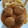 El cooksnap de marty cuando hizo Albóndigas en su salsa.