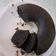 Cooksnap dari Nit Not untuk resep Bolu Ketan Hitam Panggang