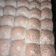 El cooksnap de Rosana Alvarez cuando hizo Pancitos caseros (pueden ser cob grasa o aceite).