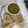 Urmi Shah's cooksnap of when they made પાલક પનીર (Palak Paneer Recipe In Gujarati).