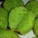 Cooksnap dari Emak_Q untuk resep Bika ambon pandan ekonomis
