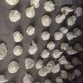 El cooksnap de angaba190 cuando hizo Suspiros o merengue seco.