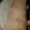 M's Treat And Confectionery's cooksnap of when they made Baked meat pie.